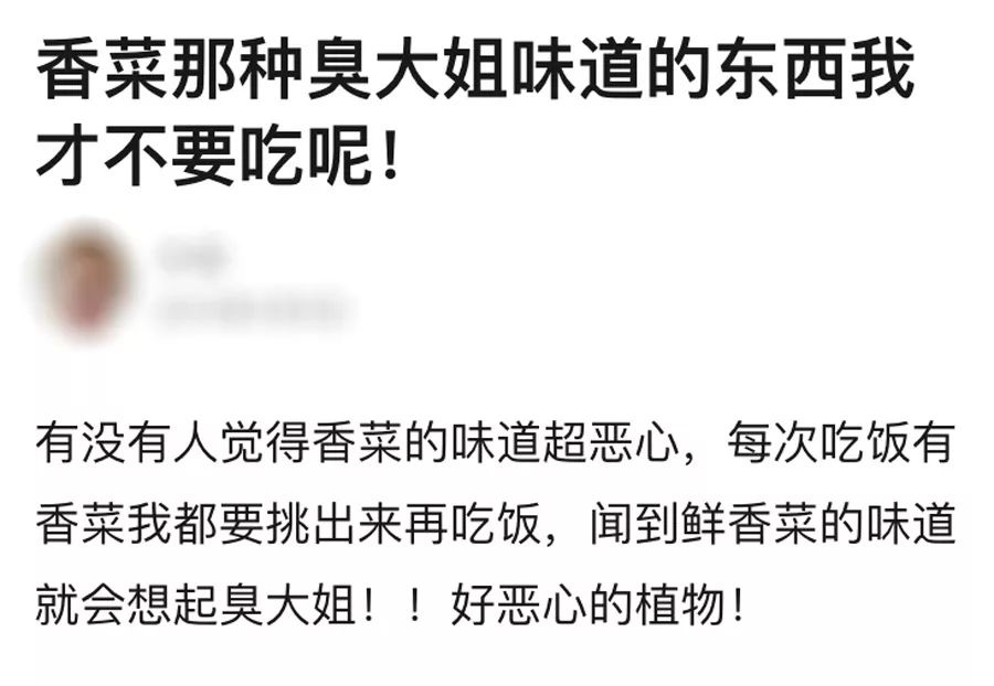 自动草稿