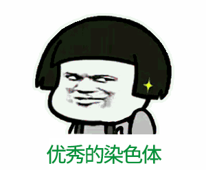 自动草稿