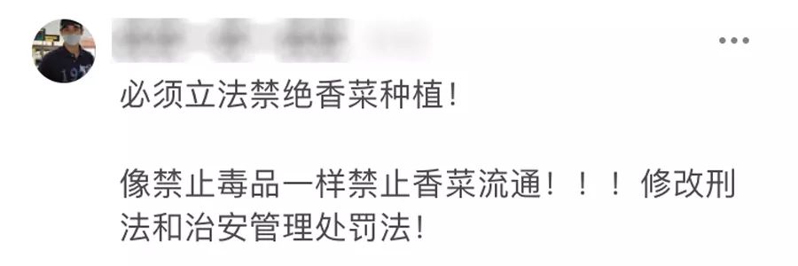 自动草稿